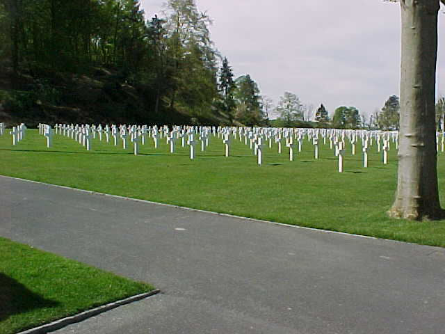 303 - DES CROIX BLANCHES A PERTE DE VUE....jpg